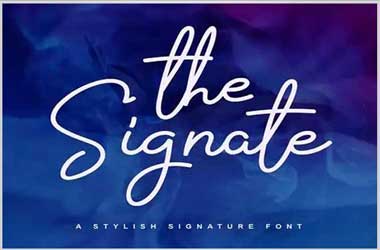 The Signate Font Free Download